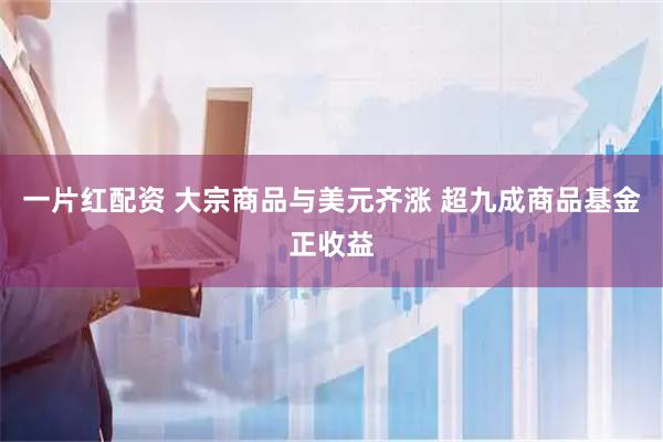 一片红配资 大宗商品与美元齐涨 超九成商品基金正收益