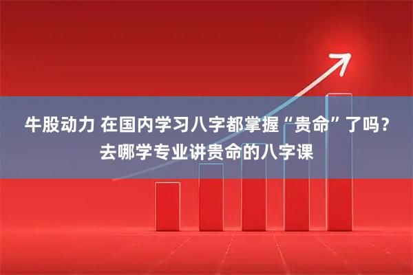 牛股动力 在国内学习八字都掌握“贵命”了吗？去哪学专业讲贵命的八字课