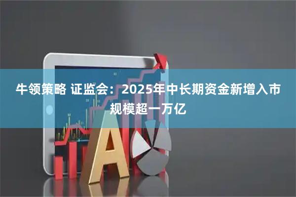 牛领策略 证监会：2025年中长期资金新增入市规模超一万亿