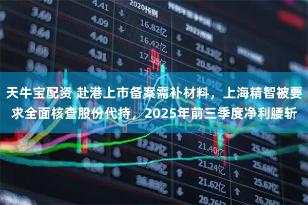 天牛宝配资 赴港上市备案需补材料,上海精智被要求全面核查股份代持,2025年前三季度净利腰斩