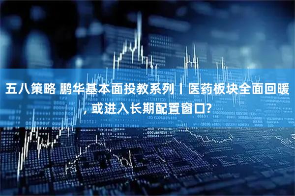 五八策略 鹏华基本面投教系列丨医药板块全面回暖, 或进入长期配置窗口?