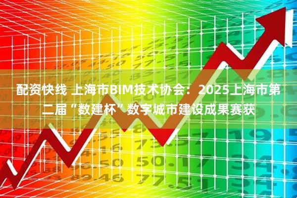 配资快线 上海市BIM技术协会：2025上海市第二届“数建杯”数字城市建设成果赛获