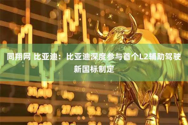 同翔网 比亚迪：比亚迪深度参与首个L2辅助驾驶新国标制定