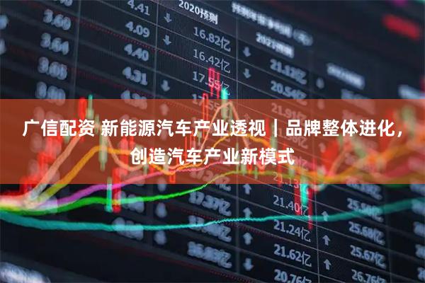 广信配资 新能源汽车产业透视｜品牌整体进化，创造汽车产业新模式